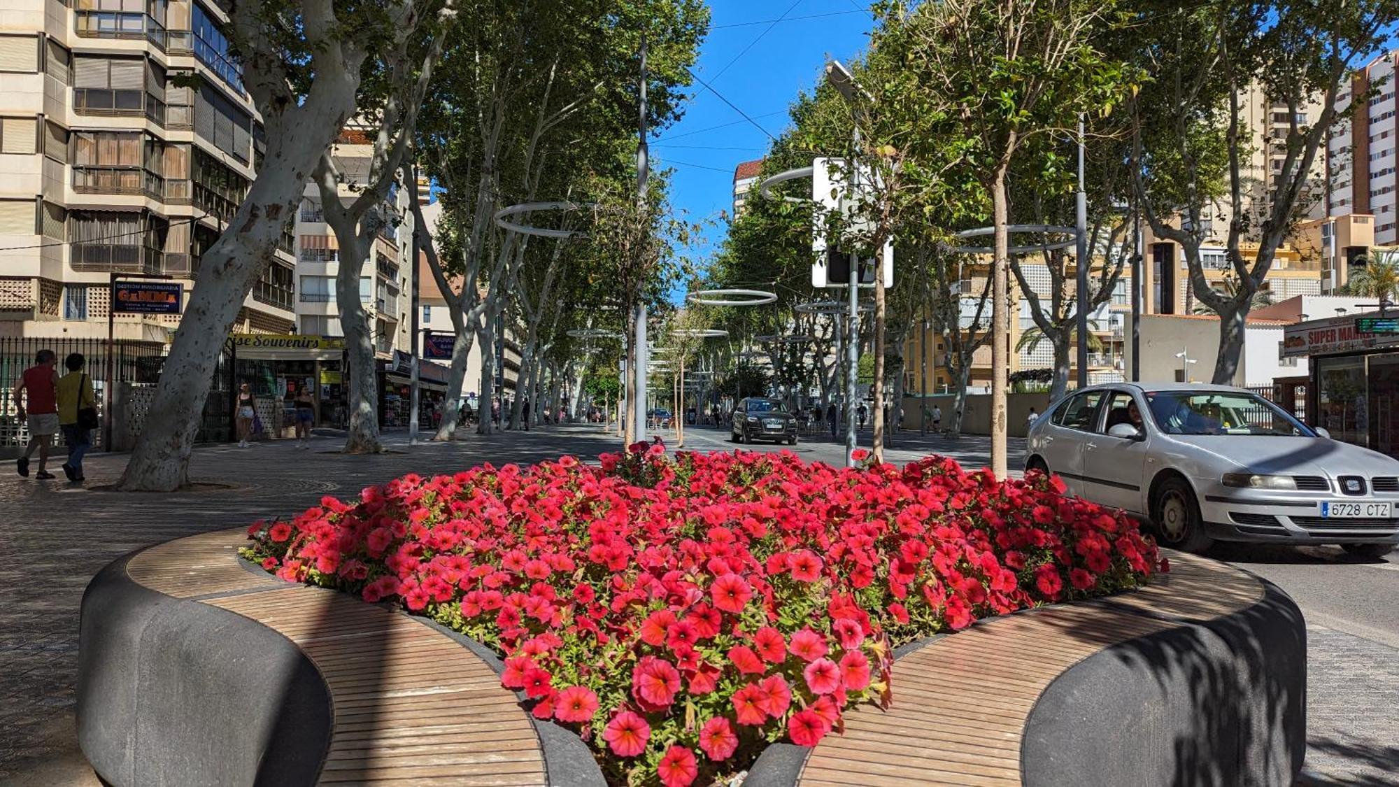Apartment Olas 0ld Town